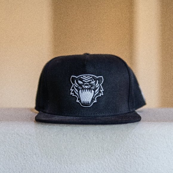 Other - Kinjaz Snapback Hat